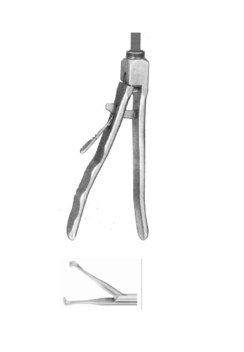 BABCOCK DOKU FORSEPS ÇAP  5 MM